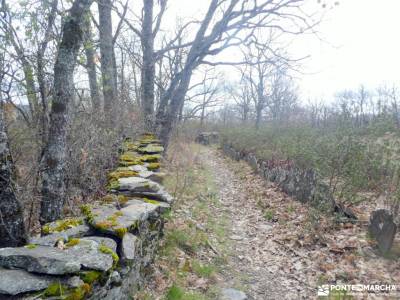 Pueblos Negros de la arquitectura negra - Sierra Norte de Guadalajara; escapadas sierra madrid grupo